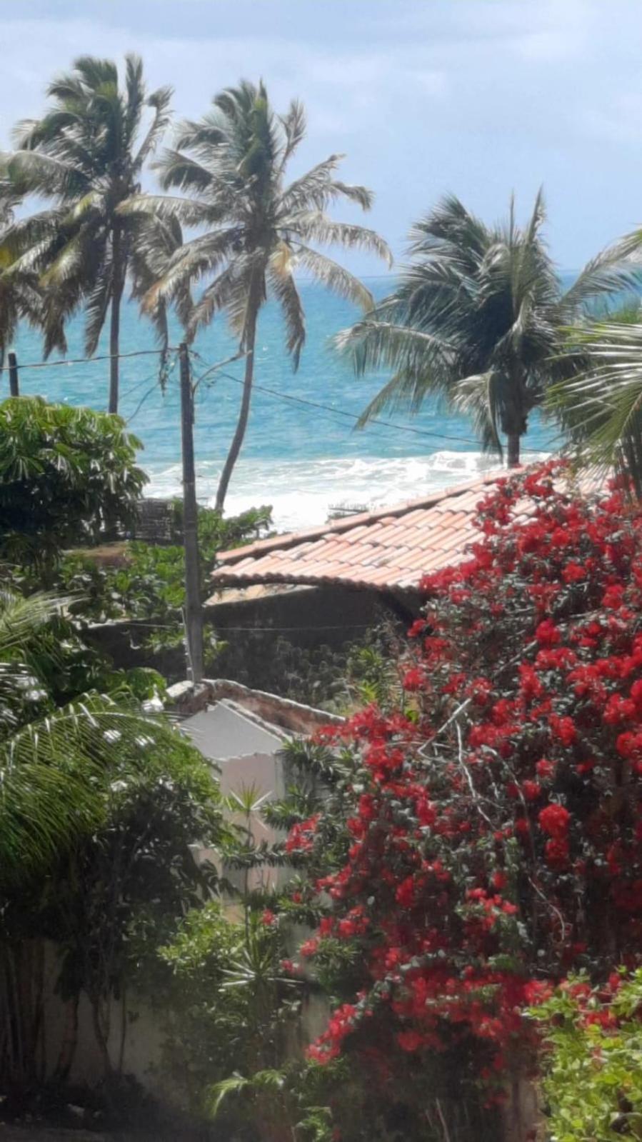 Appartamento Porto Atlantis-Bluedream Flat-Pôrto das Galinhas Esterno foto